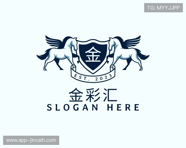 了解金彩易购